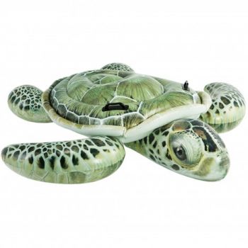 Boia Tartaruga Marinha - Intex